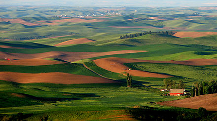 The Palouse Hills