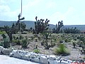 Ecological Park on Cerro de Cubios