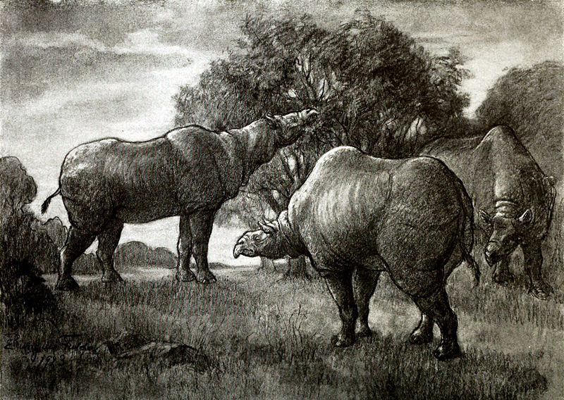 File:Paraceratherium herd.jpg