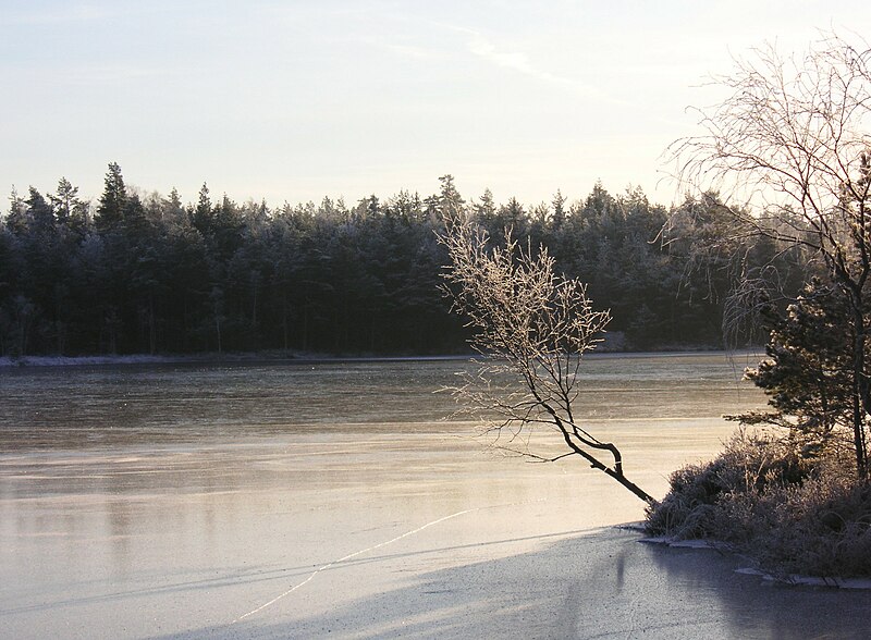 File:Paradisets naturreservat, dec 2007a.jpg