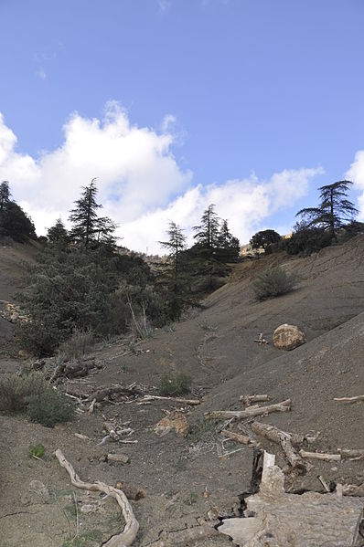 File:Paysage dans le parc national de Belezma 5.JPG