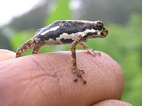 Popis tohoto obrázku, také komentován níže