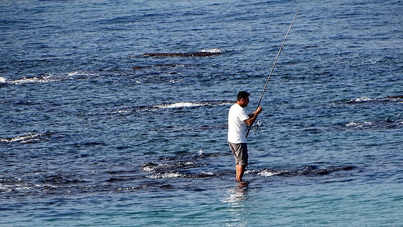 דייגים במפרץ שדות ים