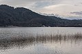 * Nomination Phragmites australis at the Landscape Protection Area on peninsula promenade, Pörtschach, Carinthia, Austria --Johann Jaritz 02:03, 10 December 2016 (UTC) * Promotion Good quality. --Haeferl 05:25, 10 December 2016 (UTC)