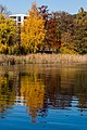 * Nomination Park trees and phragmites australis on Hans-Pruscha-Weg, Poertschach am Woerther See, Carinthia, Austria --Johann Jaritz 03:17, 4 November 2015 (UTC) * Promotion Good quality. --Uoaei1 04:58, 4 November 2015 (UTC)