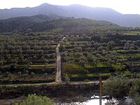 Terraced hillside of Priorat Priorat hillside.jpg