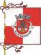 Flag of the Concelhos Porto de Mós