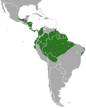 Descrierea imaginii Pygmy Anteater area.png.