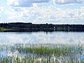 Le lac Pyhännänjärvi.