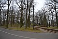 Deutsch: Pyramidenplatz in Schöneiche bei Berlin; benannt nach einer hölzernen Pyramide, die hier seit dem 18. Jahrhundert stand und Mitte des 19. Jahrhunderts endgültig verfiel. Hat heute eine Dreiecksform, die Zubringerstraßen nach Berlin-Friedrichshagen und Berlin-Rahnsdorf treffen hier zusammen, zudem befindet sich hier eine Haltestelle der Schöneiche-Rüdersdorfer Straßenbahn (Rahnsdorfer Straße).