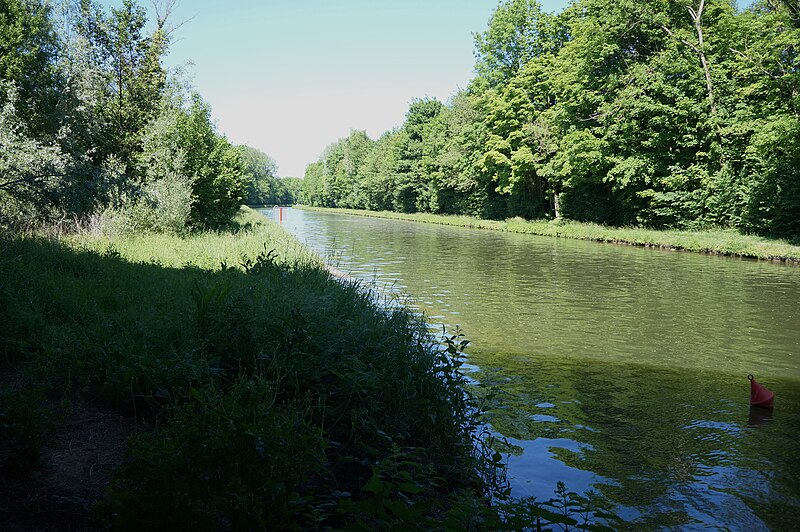 File:RNR de l'Escaut Rivière (35).jpg