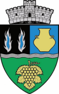Wappen von Bălăușeri