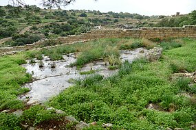 Rain in Malta 05.jpg