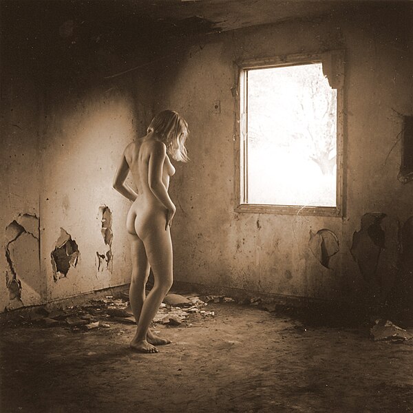 File:Rear view of nude woman standing in front of a window.jpg