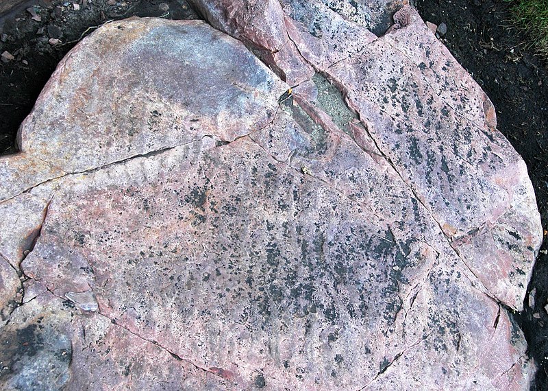 File:Ripples marks (Sioux Quartzite, Paleoproterozoic, 1.65-1.70 Ga; Falls Park, Sioux Falls, South Dakota, USA) 7.jpg