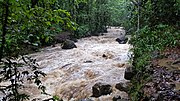 Vignette pour Rivière Moustique (Sainte-Rose)