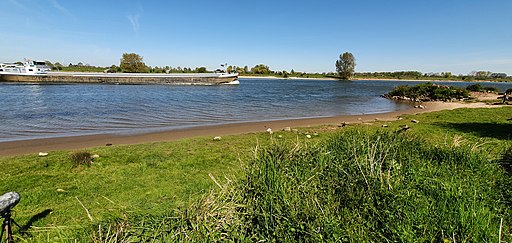 Rivier Maas bij Empel in Noord-Brabant 02