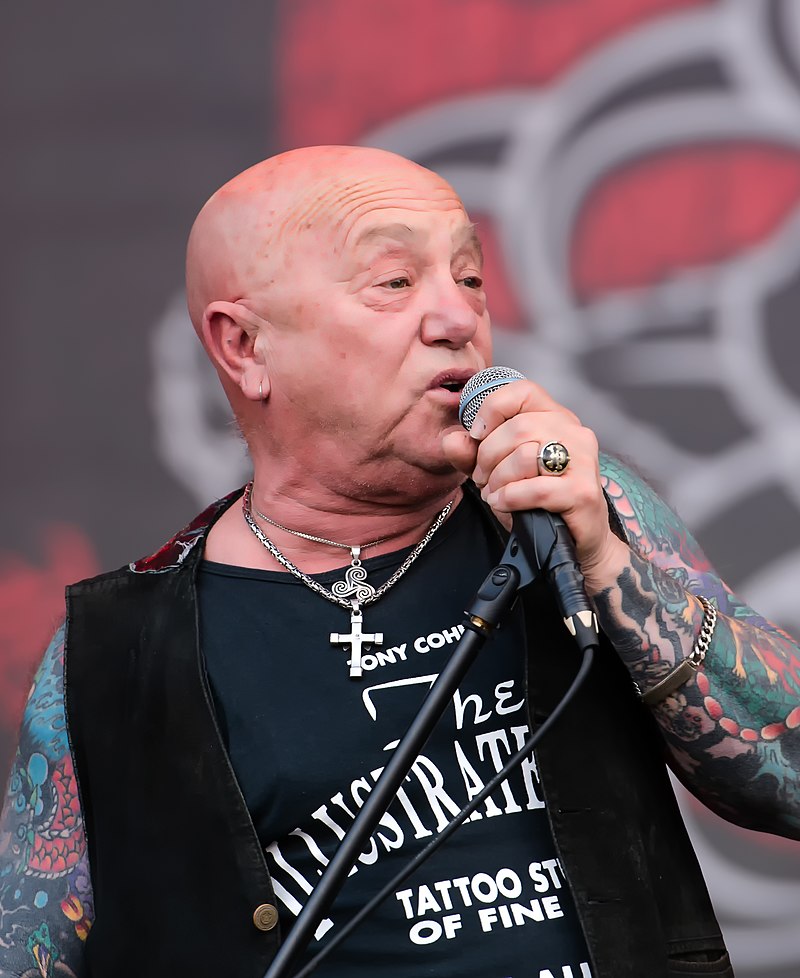 Андерсон википедия. Вернер тату. Энгри Андерсон. Angry Anderson.