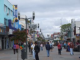 Gata i São José dos Pinhais.