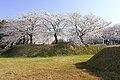 2019年11月20日 (水) 13:48時点における版のサムネイル