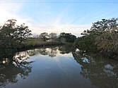 Sargent TX Caney Creek2.jpg