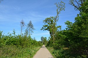 Schleswig-Holstein, Mildstedt, Naturerlebnisraum NIK 6660.jpg