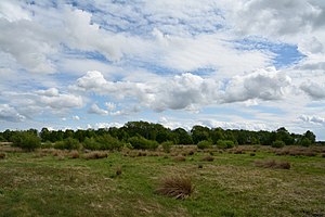 Schleswig-Holstein, Moordiek, Auufer, FFH-Gebiet Moore der Breitenburger Niederung NIK 4394.JPG