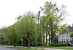 Schubertplatz (Quedlinburg)