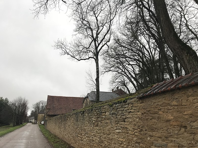 File:Sermange (Jura, France) en janvier 2018 - 51.JPG