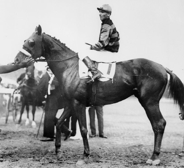 Sir Barton, the first Triple Crown winner, at the 1919 Preakness Stakes