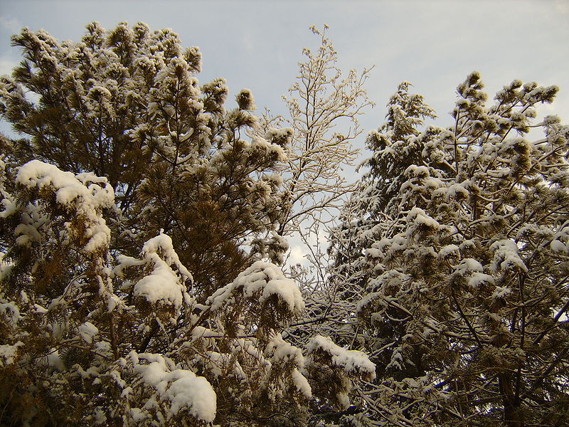 File:Snow in Afghanistan.jpg