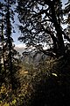 Blick durch die Wälder am Solang-Tal nördlich von Manali auf etwa 3300m Höhe.