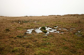 Ponsonby Fell