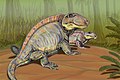 Sphenacodon um réptil pelicossauro Comprimento: 3 m