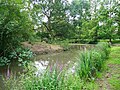 The pond at Springfield Park in Clapton.