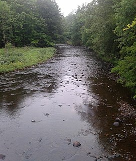 Sprite Creek River in the U.S. State of New York