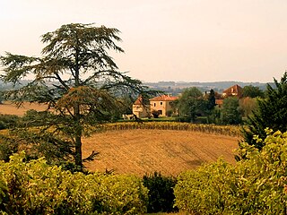 <span class="mw-page-title-main">Saint-Orens-Pouy-Petit</span> Commune in Occitania, France