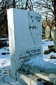 Stary cmentarz żydowski Lublin 12.jpg