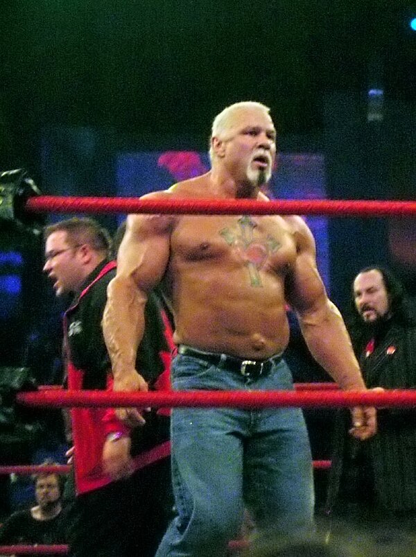 Steiner in TNA