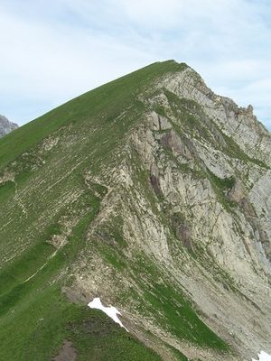 Strahlkopf