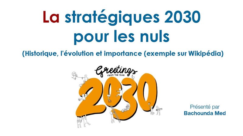 File:Stratégie 2030 pour les Nuls FR.pdf