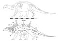 Struthiosaurus austriacus.jpg