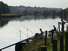 Fishing on the Trent near Hazelford Ferry, 2009