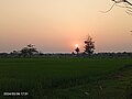 File:Sunset view From an Urban area of Khulna.jpg