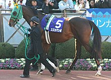 Suzuka Mambo 20051225P1.jpg