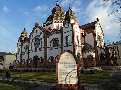 How to get to Subotica with public transit - About the place