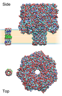 Synthetic ion channels