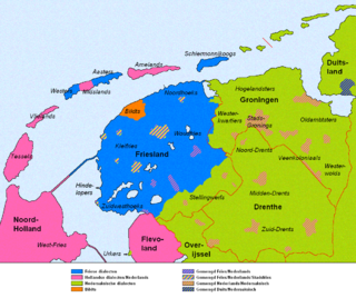 <span class="mw-page-title-main">West Frisian languages</span> Group of languages of the Netherlands