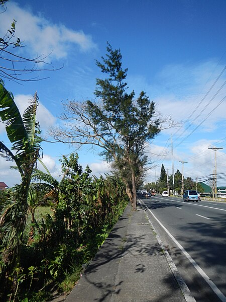 File:TagaytaySceneryjf9745 17.JPG