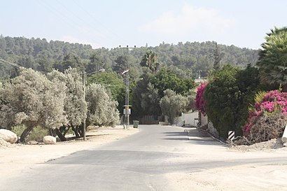 איך מגיעים באמצעות תחבורה ציבורית  לתרום? - מידע על המקום